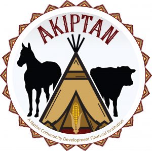 Akiptan Inc logo